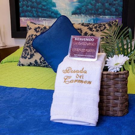 Hotel Posada Del Carmen San Luis Potosi Bagian luar foto