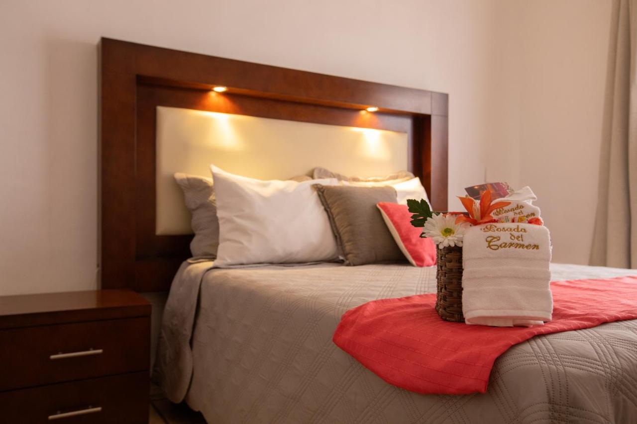 Hotel Posada Del Carmen San Luis Potosi Bagian luar foto