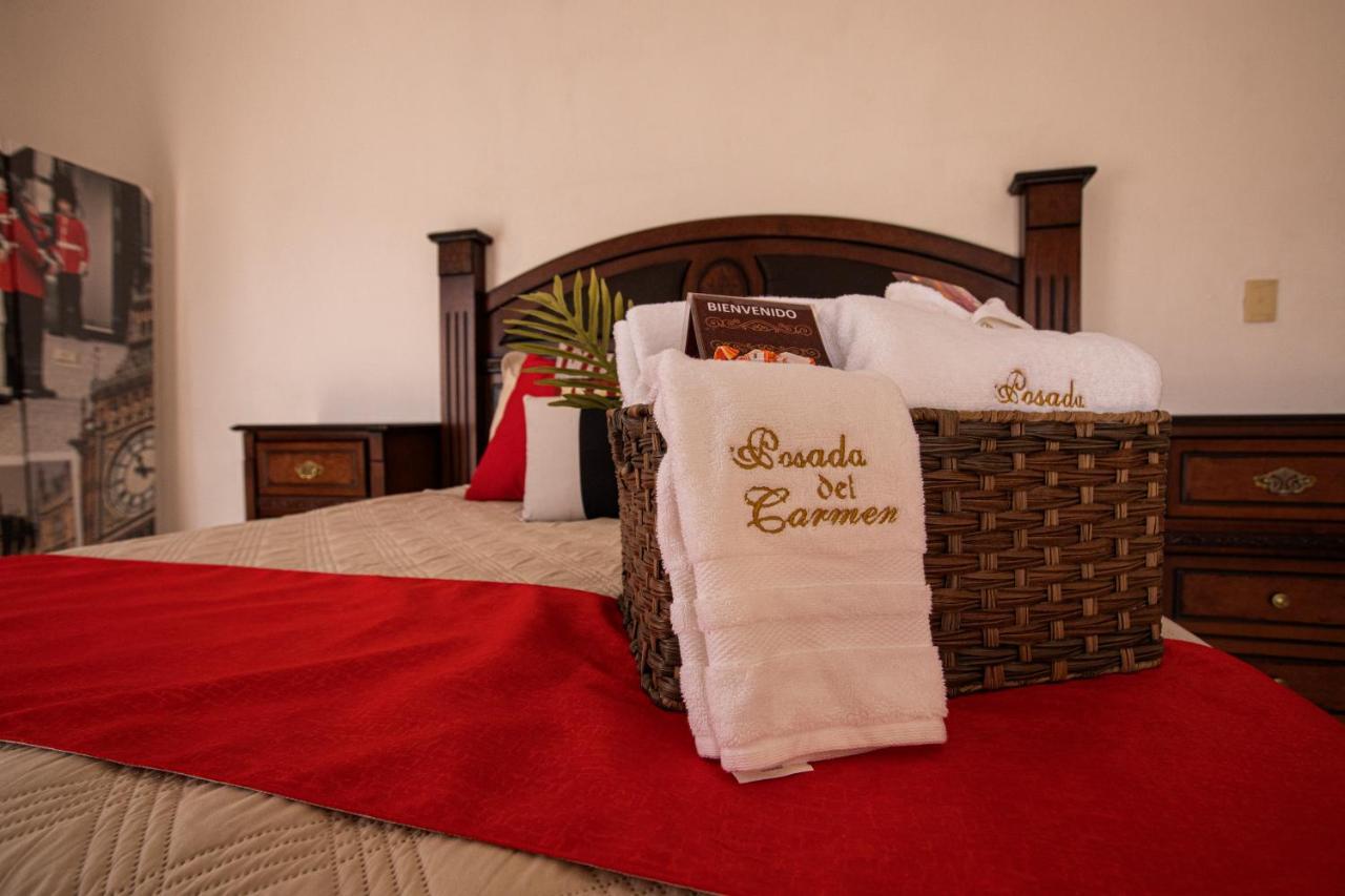 Hotel Posada Del Carmen San Luis Potosi Bagian luar foto