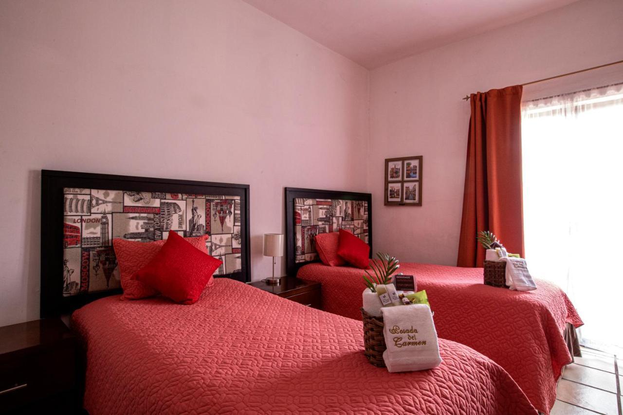 Hotel Posada Del Carmen San Luis Potosi Bagian luar foto