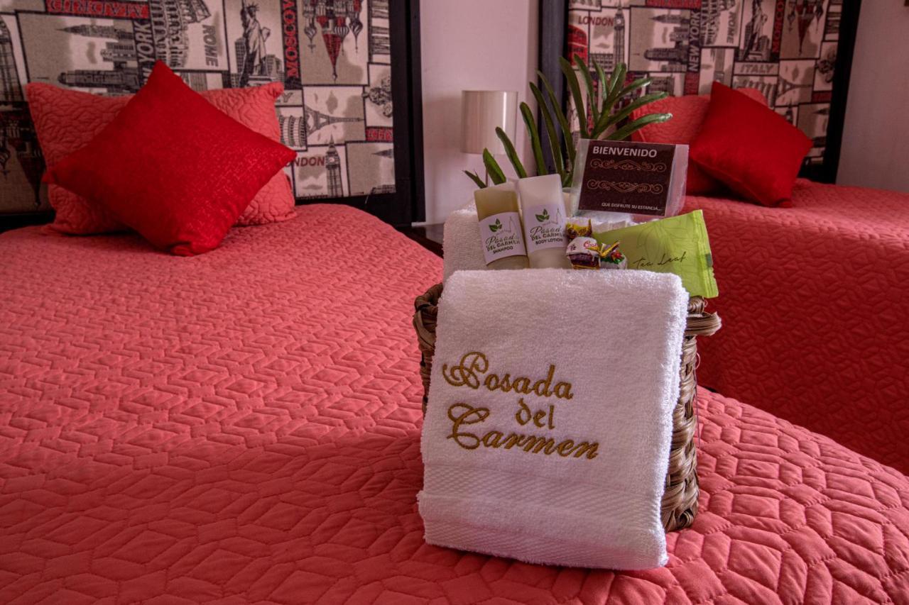 Hotel Posada Del Carmen San Luis Potosi Bagian luar foto